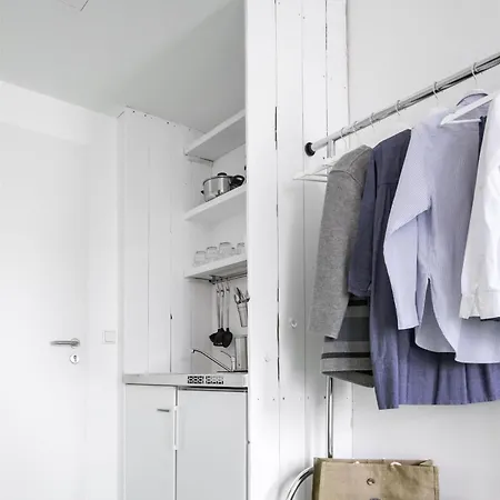 Flowers Munster (North Rhine-Westphalia)