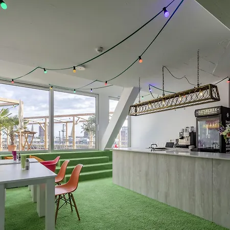 Flowers Munster (North Rhine-Westphalia)